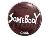 Artwork for Sticker | somebody | Katowice 2019