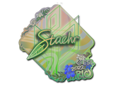 Artwork for Sticker | Staehr (Holo) | Rio 2022