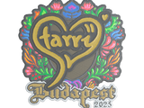 Artwork for Sticker | Starry (Embroidered) | Budapest 2025