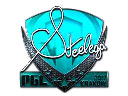 Sticker | steel | Krakow 2017