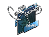 Artwork for Sticker | Summer | Boston 2018