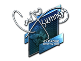 Artwork for Sticker | Summer (Foil) | Boston 2018