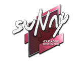 Artwork for Sticker | suNny | Boston 2018