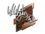 Sticker | TaZ | Boston 2018