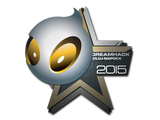 Artwork for Sticker | Team Dignitas | Cluj-Napoca 2015