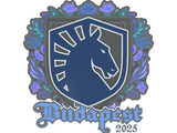Artwork for Sticker | Team Liquid | Budapest 2025