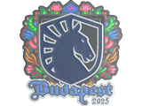 Artwork for Sticker | Team Liquid (Embroidered) | Budapest 2025