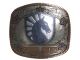 Artwork for Sticker | Team Liquid (Foil) | Austin 2025