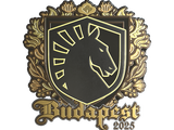 Artwork for Sticker | Team Liquid (Gold) | Budapest 2025