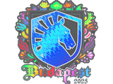 Artwork for Sticker | Team Liquid (Holo) | Budapest 2025