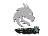 Artwork for Sticker | Team Spirit | Antwerp 2022