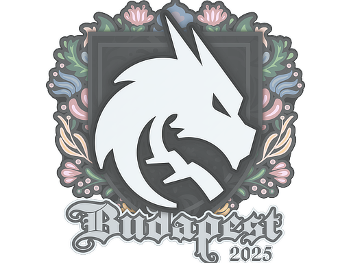 Sticker | Team Spirit | Budapest 2025
