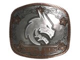 Artwork for Sticker | Team Spirit (Foil) | Austin 2025