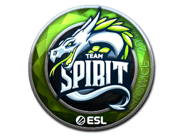 Sticker | Team Spirit | Katowice 2019