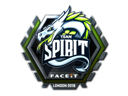 Team Spirit - CS2 Sticker