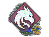 Artwork for Sticker | Team Spirit (Glitter) | Rio 2022