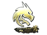 Artwork for Sticker | Team Spirit (Gold) | Antwerp 2022