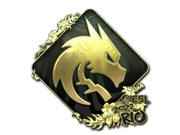 Sticker | Team Spirit | Rio 2022