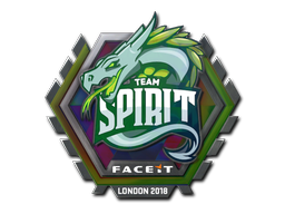 Team Spirit - CS2 Sticker