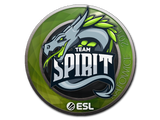 Artwork for Sticker | Team Spirit | Katowice 2019