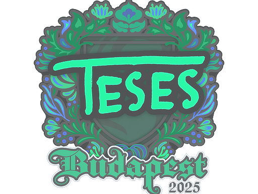 Sticker | TeSeS | Budapest 2025