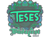 Artwork for Sticker | TeSeS | Budapest 2025