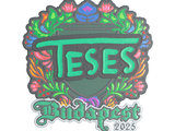 Artwork for Sticker | TeSeS (Embroidered) | Budapest 2025