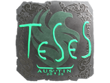 Artwork for Sticker | TeSeS (Foil) | Austin 2025