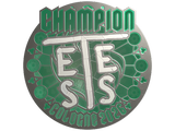 Artwork for Sticker | TeSeS (Foil, Champion) | Cologne 2026