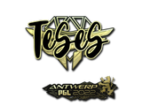 Artwork for Sticker | TeSeS (Gold) | Antwerp 2022