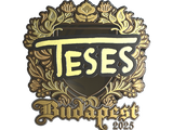 Artwork for Sticker | TeSeS (Gold) | Budapest 2025