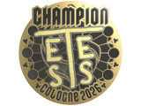 Artwork for Sticker | TeSeS (Gold, Champion) | Cologne 2026