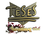 Artwork for Sticker | TeSeS (Gold) | Shanghai 2024