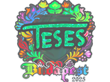 Artwork for Sticker | TeSeS (Holo) | Budapest 2025