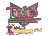 Artwork for Sticker | TeSeS (Holo) | Shanghai 2024