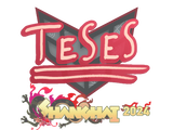 Sticker | TeSeS | Shanghai 2024