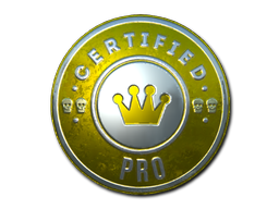 Sticker | The Pro