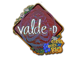 Sticker | v4lde | Rio 2022