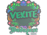 Artwork for Sticker | vexite (Embroidered) | Budapest 2025