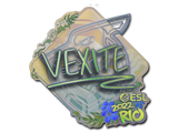 Artwork for Sticker | vexite (Holo) | Rio 2022