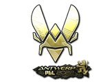 Artwork for Sticker | Vitality (Gold) | Antwerp 2022