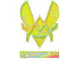 Artwork for Sticker | Vitality (Holo) | Copenhagen 2024