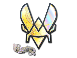 Vitality - CS2 Sticker
