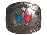 Artwork for Sticker | Wildcard (Foil) | Austin 2025