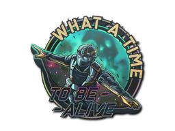 Sticker | Wingsuit