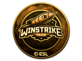 Artwork for Sticker | Winstrike Team (Gold) | Katowice 2019