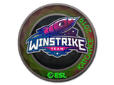 Artwork for Sticker | Winstrike Team (Holo) | Katowice 2019