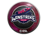 Artwork for Sticker | Winstrike Team | Katowice 2019