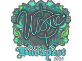Artwork for Sticker | woxic | Budapest 2025