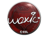 Artwork for Sticker | woxic | Katowice 2019